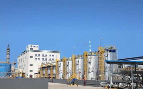 东营2021年重点项目观摩 万达集团四大项目引领产业升级，助推国内旅游业务发展