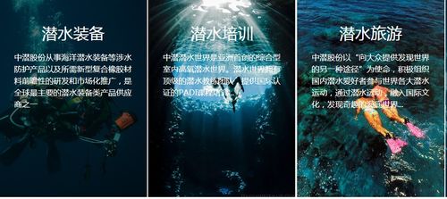 潜水公司加速赶顶，终须一别 从温州帮现象看国内旅游业务转型